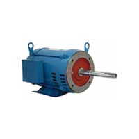 03036OT3E284JP WEG electric pump motor for sale online